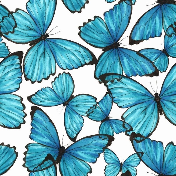 connie__hewitt